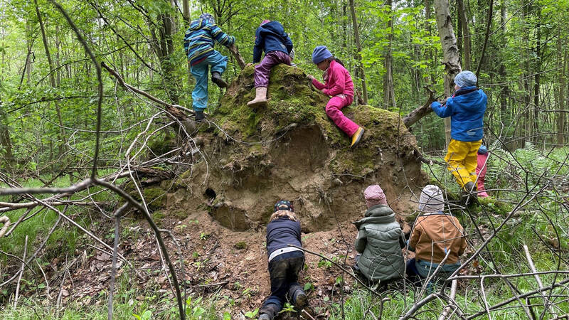 Mehrere Kinder in bunter Kleidung klettern und spielen fröhlich auf einem umgestürzten Baumstamm im Wald.
